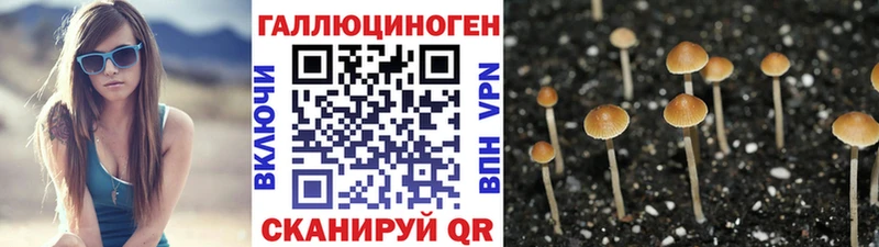Галлюциногенные грибы мухоморы  Стародуб 